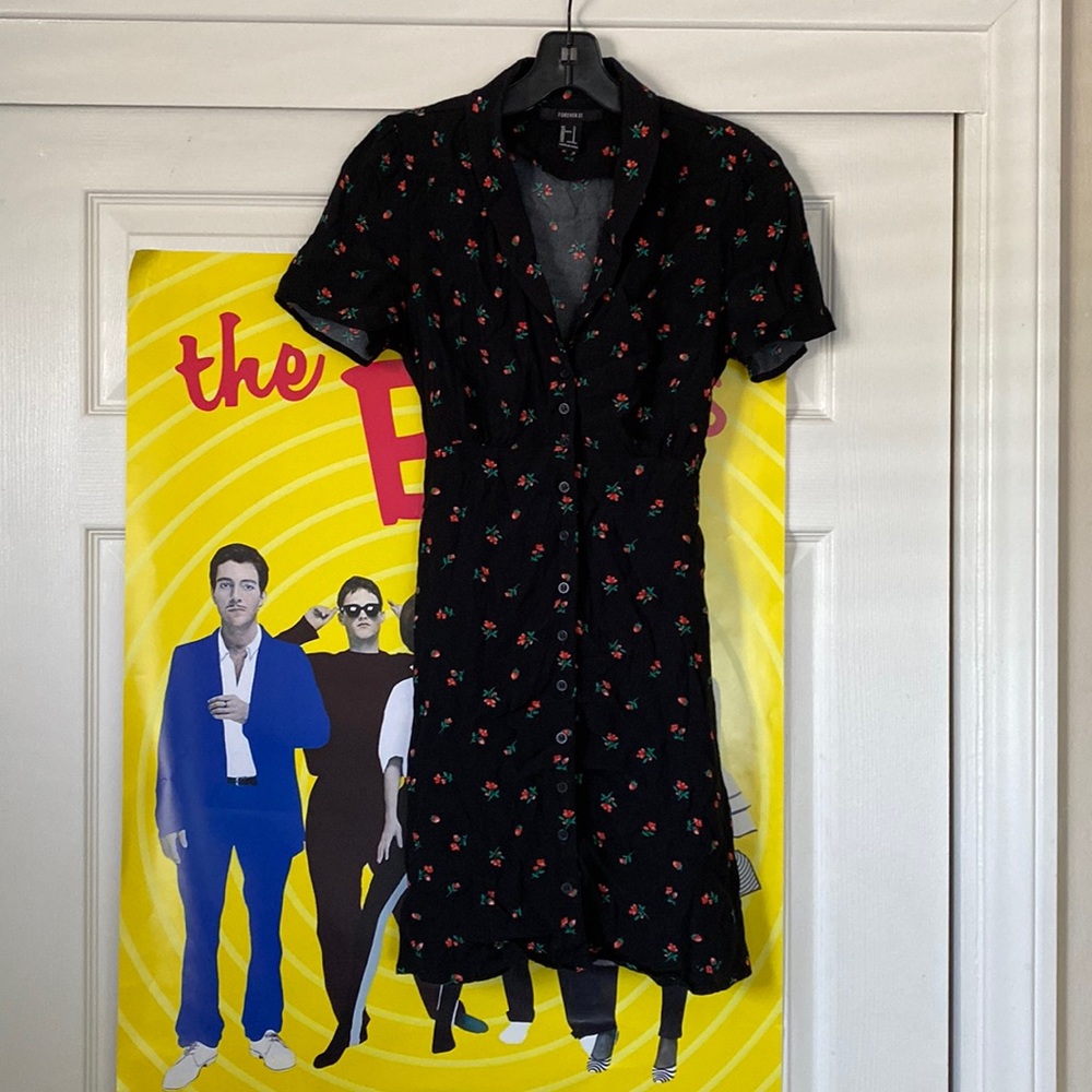 Rose and Strawberry Button Down Collared Dress